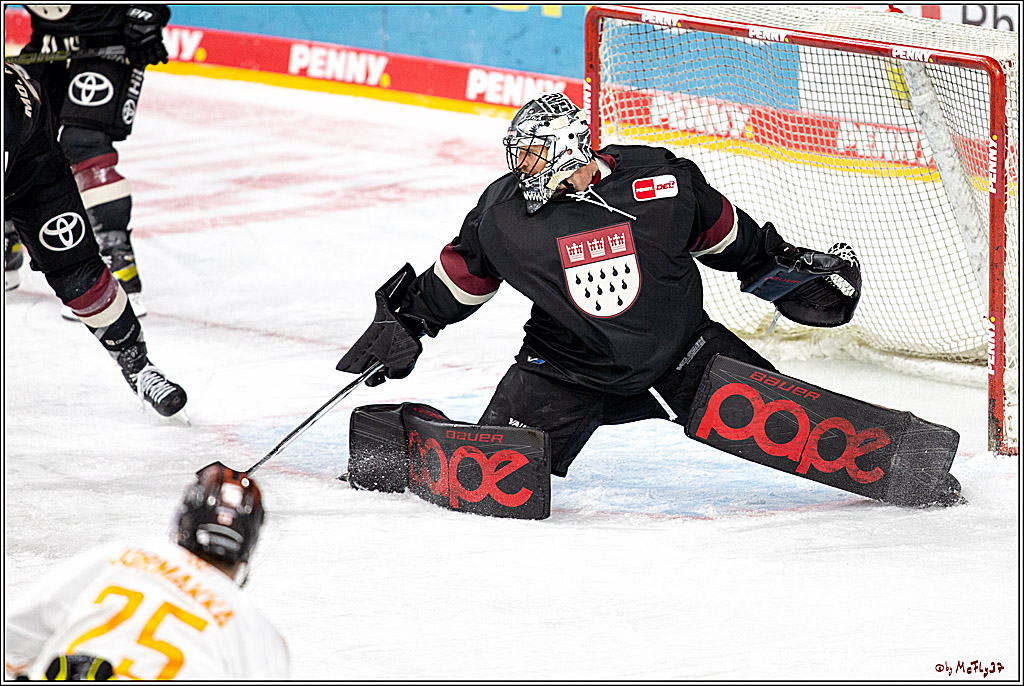 PENNY DEL;  Koelner Haie - Grizzlys Wolfsburg; Koeln, 29.01.2021